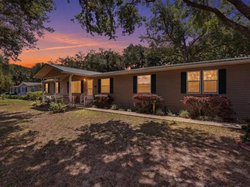 33906 Coddle Court, Wesley Chapel, FL, 33543