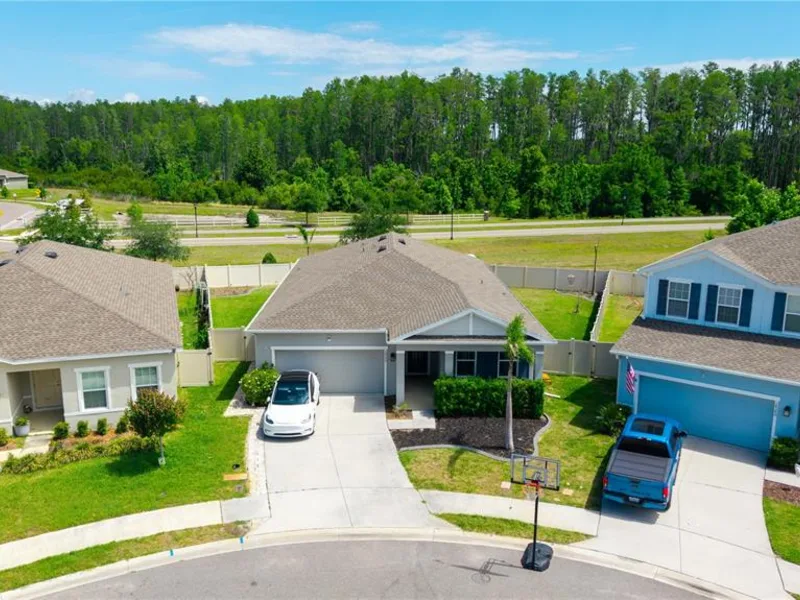18379 Falling Pine Needle Lane, Land O Lakes, FL, 34638